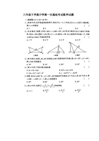 山东省德州市宁津县苗场中学2023-2024学年下学期开学考试八年级数学试题（图片版无答案）