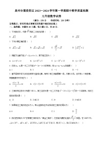 福建省泉州台商投资区2023-2024学年九年级上学期期中数学试题（原卷版+解析版）