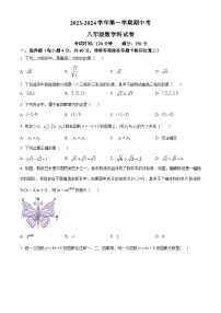 福建省漳州市第一中学碧湖校区2023-2024学年八年级上学期期中数学试题（原卷版+解析版）