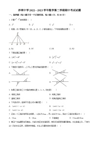 广东省深圳市龙岗区沙湾中学2022-2023学年七年级下学期期中数学试题（原卷版+解析版）