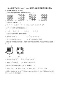 黑龙江省哈尔滨市工大附中2023-2024学年八年级上学期期中数学试题