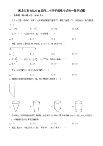 黑龙江省绥化市安达市吉星岗二中2023-2024学年七年级下学期开学考试数学试题（原卷版+解析版）