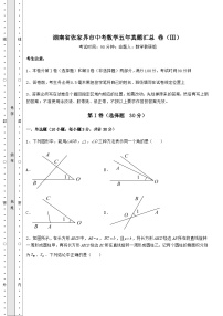 【中考特训】湖南省张家界市中考数学五年真题汇总 卷（Ⅲ）（含答案解析）