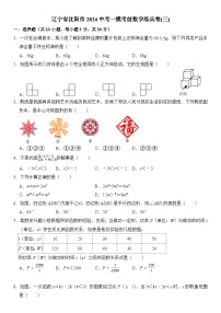 2024年辽宁省沈阳市中考一模考前数学练兵卷(三)（含答案）