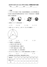 北京市丰台区2023-2024学年九年级上学期期末数学试题