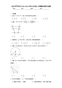 北京市平谷区2023-2024学年九年级上学期期末数学试题