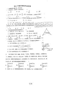 01，广东省深圳市深圳高级中学初中部2023-2024学年八年级下学期开学考试数学试卷
