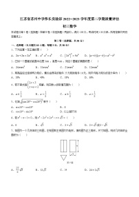 2023年江苏省苏州中学伟长实验部年九年级下学期质量评估数学试题