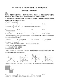 河南省周口市淮阳区2023-2024学年八年级上学期12月月考数学试题