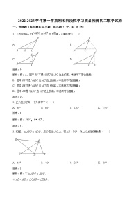 江西省南昌市十校联考2022-2023学年八年级上学期期末阶段性学习质量检测数学试卷(含解析)