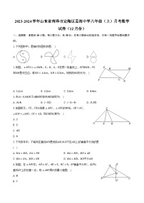 2023-2024学年山东省菏泽市定陶区孟海中学八年级（上）月考数学试卷（12月份）(含解析）