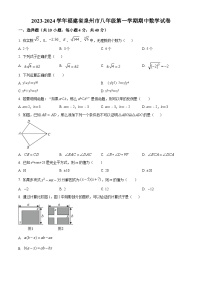 福建省泉州市永春县2023-2024学年八年级上学期期中数学试题（原卷版+解析版）