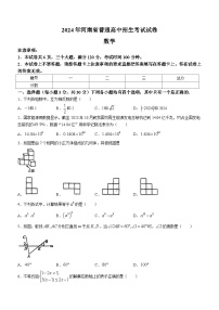 2024年河南省部分学校九年级下学期中考一模考试数学试题