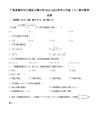 广东省梅州市大埔县玉瑚中学2023-2024学年八年级上学期期中数学试题（原卷版+解析版）