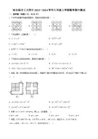 黑龙江省哈尔滨市工大附中2023-2024学年八年级上学期期中数学试题（原卷版+解析版）