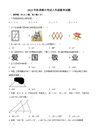 湖北省襄阳市宜城市2023-2024学年八年级上学期期中数学试题（原卷版+解析版）