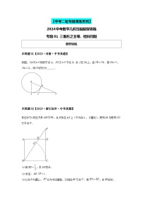 2024中考数学几何压轴专题训练-专题01三角形之全等、相似问题（含解析）