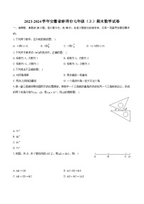 2023-2024学年安徽省蚌埠市七年级（上）期末数学试卷（含详细答案解析）