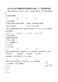 2023-2024学年安徽省池州市青阳县七年级（上）期末数学试卷（含详细答案解析）