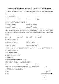 2023-2024学年安徽省合肥市经开区七年级（上）期末数学试卷（含详细答案解析）