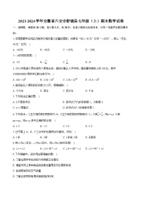 2023-2024学年安徽省六安市舒城县七年级（上）期末数学试卷（含详细答案解析）