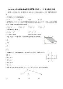 2023-2024学年河南省南阳市新野县七年级（上）期末数学试卷（含详细答案解析）