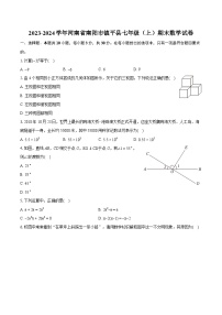 2023-2024学年河南省南阳市镇平县七年级（上）期末数学试卷（含详细答案解析）