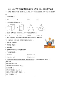 2023-2024学年河南省濮阳市经开区七年级（上）期末数学试卷（含详细答案解析）