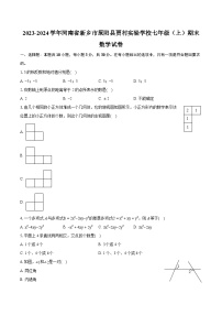 2023-2024学年河南省新乡市原阳县贾村实验学校七年级（上）期末数学试卷（含详细答案解析）