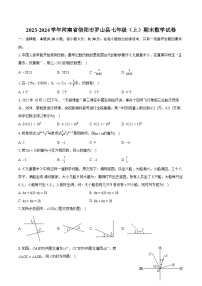 2023-2024学年河南省信阳市罗山县七年级（上）期末数学试卷（含详细答案解析）