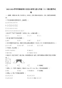 2023-2024学年河南省周口市沈丘县等几校七年级（上）期末数学试卷（含详细答案解析）