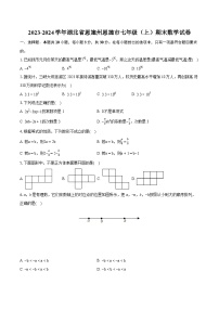 2023-2024学年湖北省恩施州恩施市七年级（上）期末数学试卷（含详细答案解析）