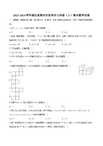 2023-2024学年湖北省荆州市监利市七年级（上）期末数学试卷（含详细答案解析）