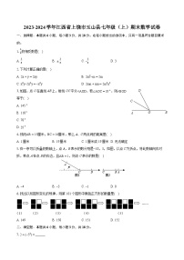 2023-2024学年江西省上饶市玉山县七年级（上）期末数学试卷（含详细答案解析）