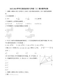 2023-2024学年江西省宜春市七年级（上）期末数学试卷（含详细答案解析）