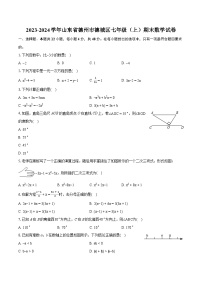 2023-2024学年山东省德州市德城区七年级（上）期末数学试卷（含详细答案解析）