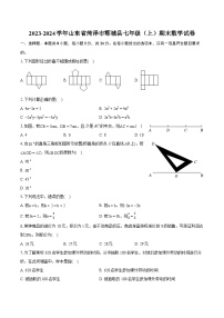 2023-2024学年山东省菏泽市郓城县七年级（上）期末数学试卷（含详细答案解析）