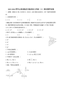 2023-2024学年山东省临沂市临沭县七年级（上）期末数学试卷（含详细答案解析）