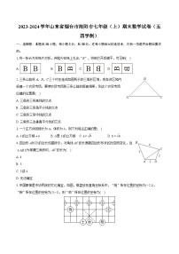 2023-2024学年山东省烟台市海阳市七年级（上）期末数学试卷（五四学制）（含详细答案解析）