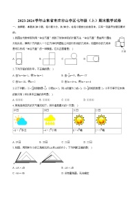 2023-2024学年山东省枣庄市山亭区七年级（上）期末数学试卷（含详细答案解析）