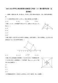 2023-2024学年山东省淄博市高青县七年级（上）期末数学试卷（五四学制）（含详细答案解析）