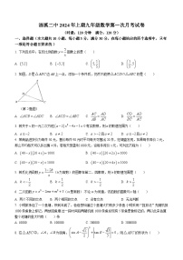 湖南省祁阳市浯溪第二中学2023-2024学年九年级下学期第一次月考数学试题