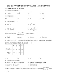 河南省郑州市中牟县2023-2024学年八年级上学期期末数学试题（原卷版+解析版）