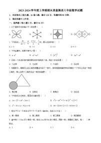 黑龙江省牡丹江市林口县2023-2024学年八年级上学期期末数学试题（原卷版+解析版）