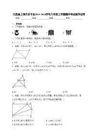 江西省上饶市余干县2023-2024学年八年级上学期期中考试数学试卷(含答案)