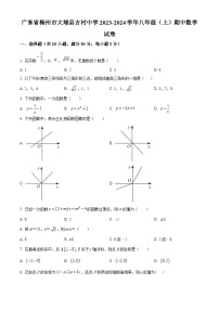 广东省梅州市大埔县古村中学2023-2024学年八年级上学期期中数学试题（原卷版+解析版）