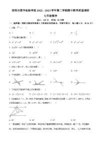 广东省深圳市展华实验学校2022-2023学年七年级下学期期中数学试题（原卷版+解析版）