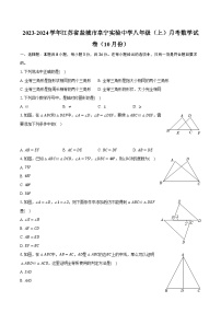 2023-2024学年江苏省盐城市阜宁实验中学八年级（上）月考数学试卷（10月份）（含解析）