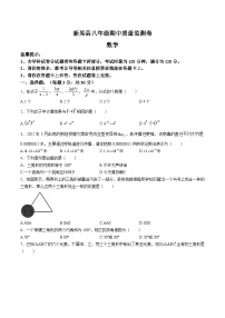 湖南省怀化市新晃县2023-2024学年八年级上学期期中质量监测数学试卷(答案不全)