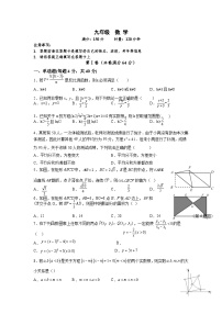 湖南省怀化市溆浦县2024届九年级上学期期末模拟数学试卷(含答案)